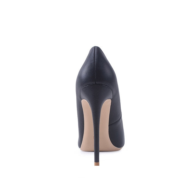 12cm  Pointed Toe Stilettos  Shoe