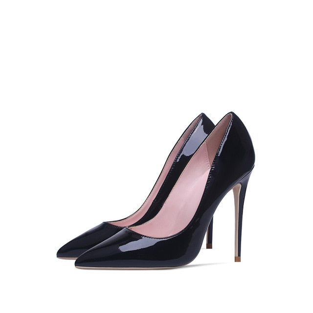 12cm  Pointed Toe Stilettos  Shoe